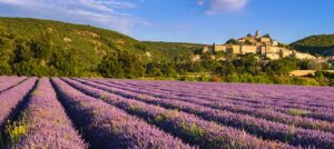 Europa-Rundreise: Provence